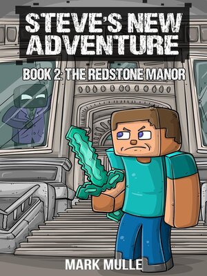 cover image of Steve's New Adventure Book 2